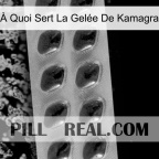 À Quoi Sert La Gelée De Kamagra 22